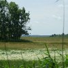Tour 13: Darß - 2
